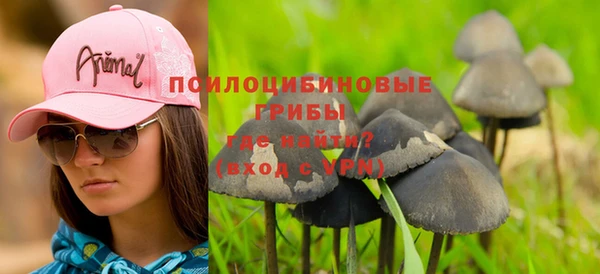 трава Абинск