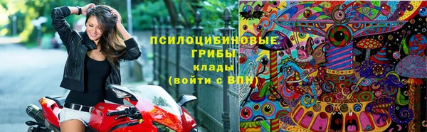 стаф Абаза