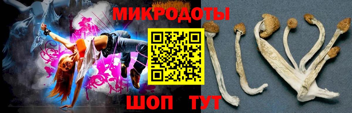 Галлюциногенные грибы Psilocybe  Вход с VPN  Кизляр 